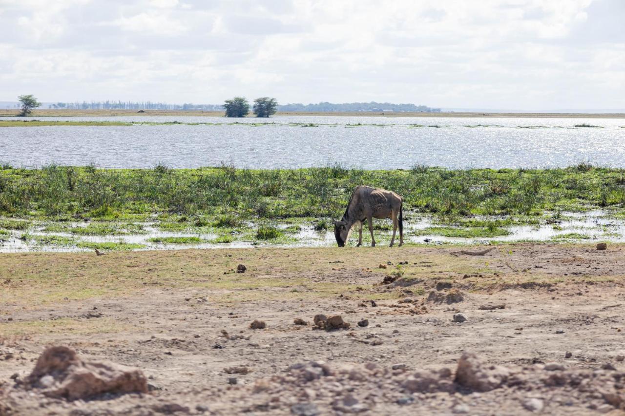 Wild Amboseli Ndovu Cottage. Экстерьер фото