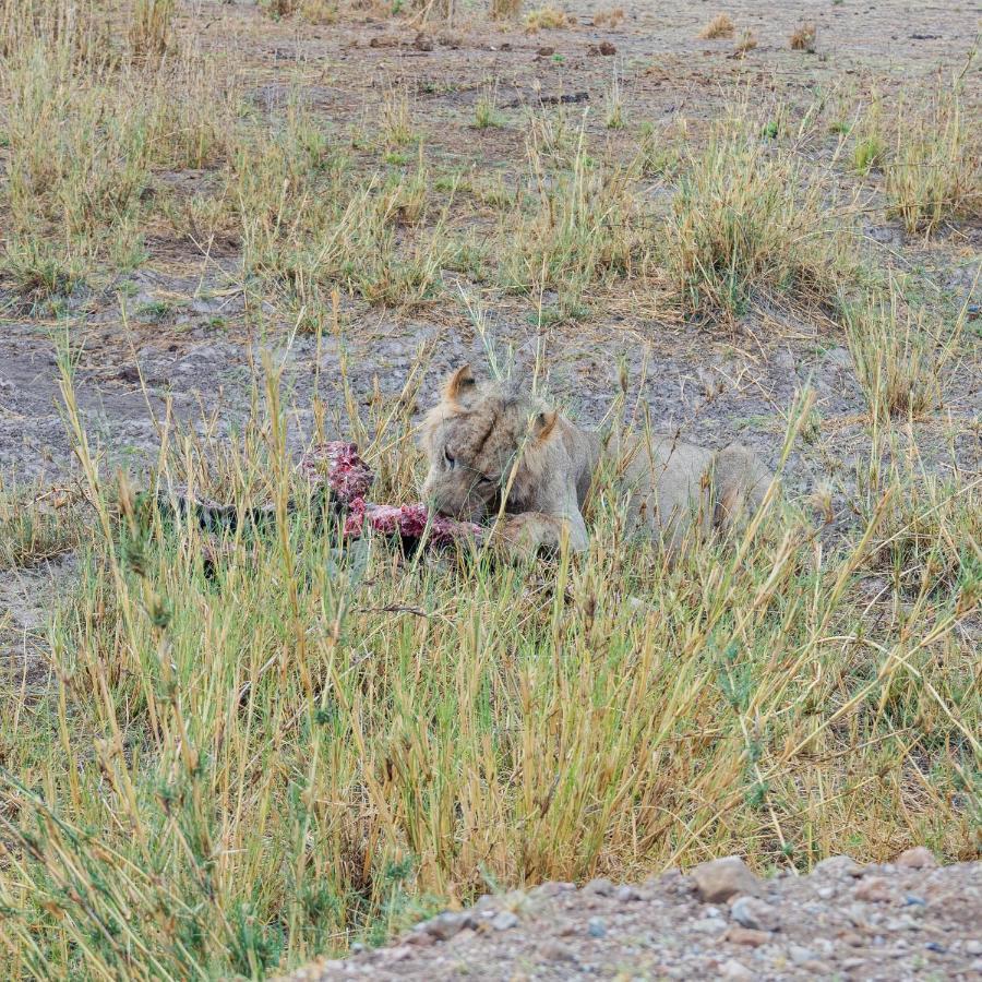 Wild Amboseli Ndovu Cottage. Экстерьер фото