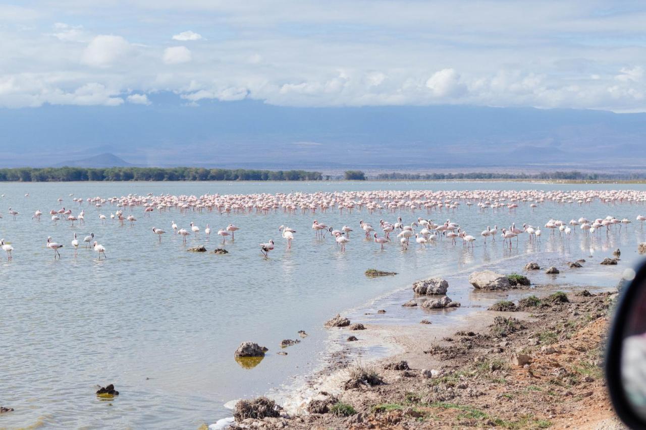 Wild Amboseli Ndovu Cottage. Экстерьер фото