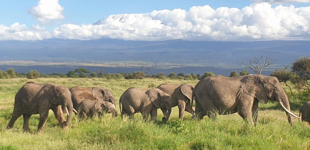 Wild Amboseli Ndovu Cottage. Экстерьер фото
