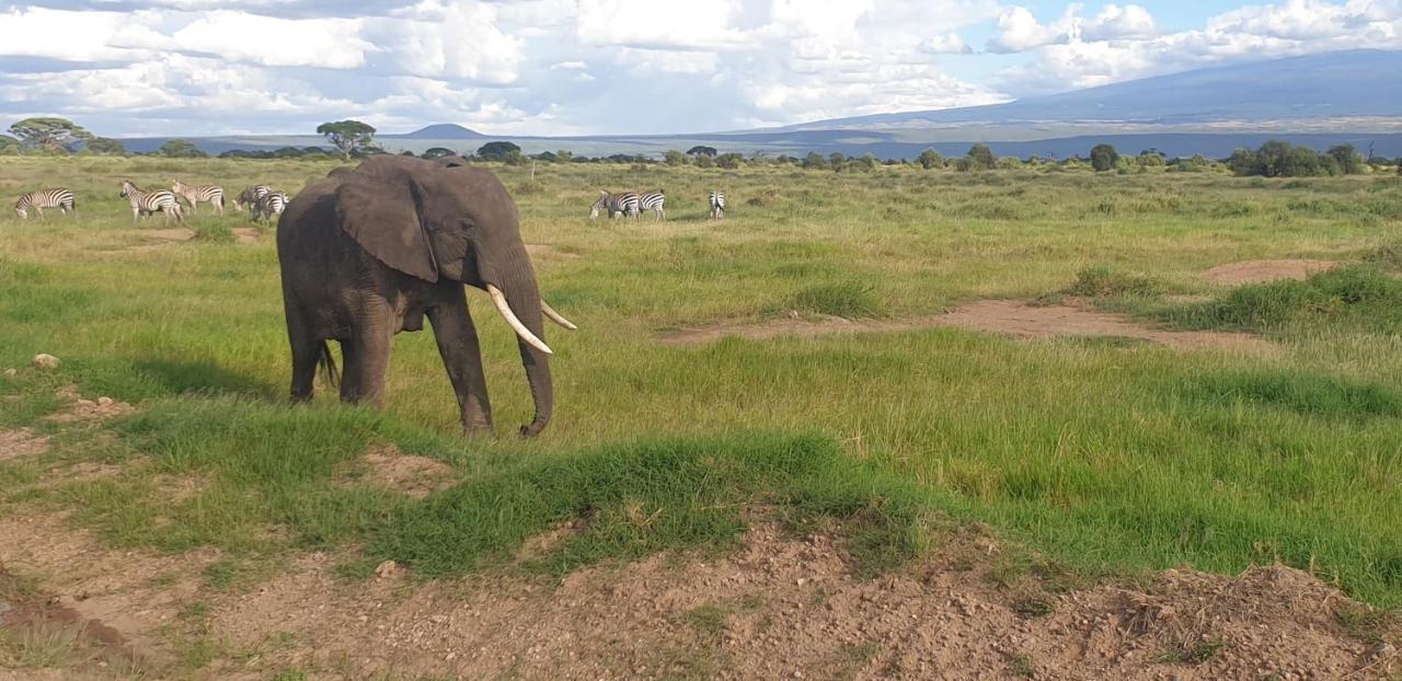 Wild Amboseli Ndovu Cottage. Экстерьер фото