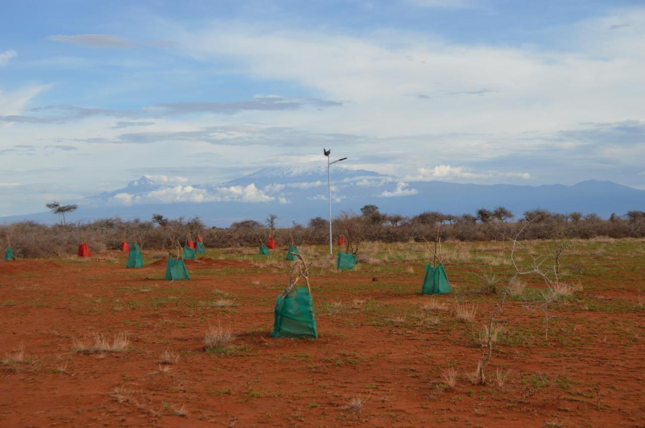 Wild Amboseli Ndovu Cottage. Экстерьер фото