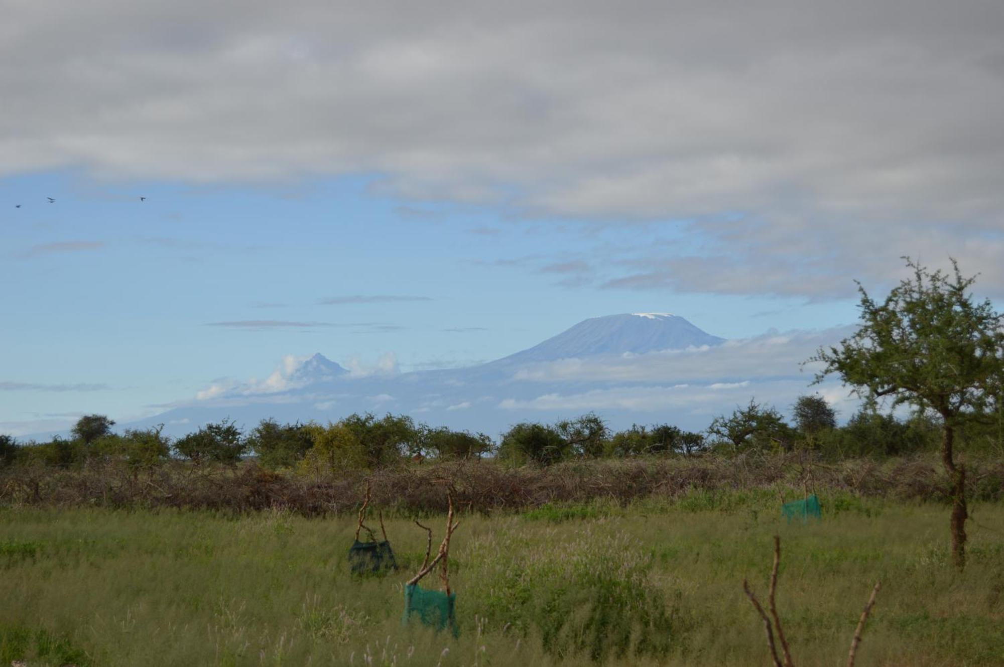 Wild Amboseli Ndovu Cottage. Экстерьер фото